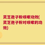 灵芝孢子粉咳嗽功效(灵芝孢子粉对咳嗽的功效)