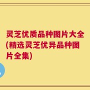 灵芝优质品种图片大全(精选灵芝优异品种图片全集)