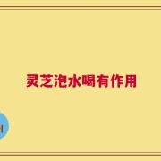灵芝泡水喝有作用