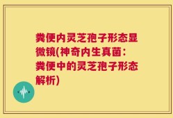粪便内灵芝孢子形态显微镜(神奇内生真菌：粪便中的灵芝孢子形态解析)
