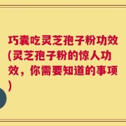 巧囊吃灵芝孢子粉功效(灵芝孢子粉的惊人功效，你需要知道的事项)