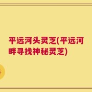 平远河头灵芝(平远河畔寻找神秘灵芝)