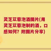 灵芝苁蓉泡酒图片(用灵芝苁蓉泡制的酒，口感如何？附图片分享)
