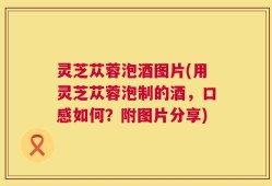 灵芝苁蓉泡酒图片(用灵芝苁蓉泡制的酒，口感如何？附图片分享)