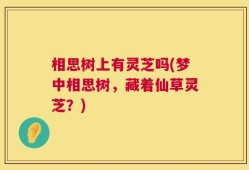 相思树上有灵芝吗(梦中相思树，藏着仙草灵芝？)