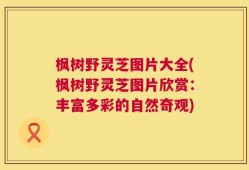 枫树野灵芝图片大全(枫树野灵芝图片欣赏：丰富多彩的自然奇观)
