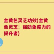 金黄色灵芝功效(金黄色灵芝：强劲免疫力的提升者)
