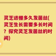 灵芝进棚多久发菌丝(灵芝生长需要多长时间？探究灵芝发菌丝的时间)