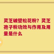 灵芝破壁松花粉？灵芝孢子粉功效与作用及用量是什么