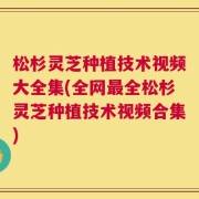 松杉灵芝种植技术视频大全集(全网最全松杉灵芝种植技术视频合集)