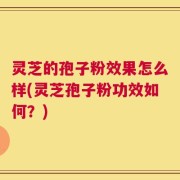 灵芝的孢子粉效果怎么样(灵芝孢子粉功效如何？)