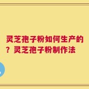灵芝孢子粉如何生产的？灵芝孢子粉制作法