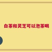 白茶和灵芝可以泡茶喝