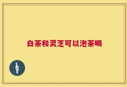 白茶和灵芝可以泡茶喝