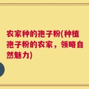 农家种的孢子粉(种植孢子粉的农家，领略自然魅力)