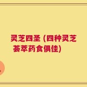 灵芝四圣 (四种灵芝 荟萃药食俱佳)