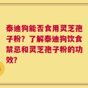 泰迪狗能否食用灵芝孢子粉？了解泰迪狗饮食禁忌和灵芝孢子粉的功效？