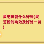 灵芝粉管什么好处(灵芝粉的功效及好处一览)