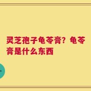 灵芝孢子龟苓膏？龟苓膏是什么东西