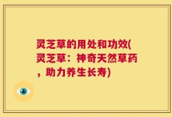 灵芝草的用处和功效(灵芝草：神奇天然草药，助力养生长寿)