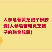 人参皂苷灵芝孢子粉胶囊(人参皂苷和灵芝孢子的联合胶囊)