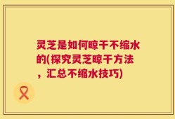 灵芝是如何晾干不缩水的(探究灵芝晾干方法，汇总不缩水技巧)