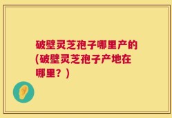 破壁灵芝孢子哪里产的(破壁灵芝孢子产地在哪里？)