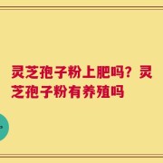 灵芝孢子粉上肥吗？灵芝孢子粉有养殖吗