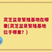 灵芝盆景繁殖基地在哪里(灵芝盆景繁殖基地位于哪里？)