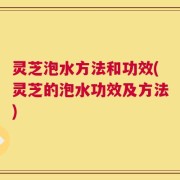 灵芝泡水方法和功效(灵芝的泡水功效及方法)