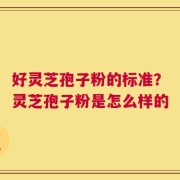 好灵芝孢子粉的标准？灵芝孢子粉是怎么样的