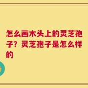怎么画木头上的灵芝孢子？灵芝孢子是怎么样的