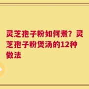 灵芝孢子粉如何煮？灵芝孢子粉煲汤的12种做法