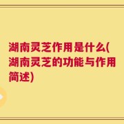 湖南灵芝作用是什么(湖南灵芝的功能与作用简述)