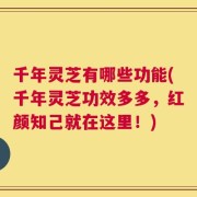 千年灵芝有哪些功能(千年灵芝功效多多，红颜知己就在这里！)