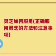 灵芝如何服用(正确服用灵芝的方法和注意事项)