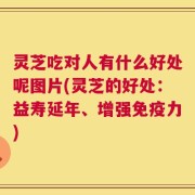 灵芝吃对人有什么好处呢图片(灵芝的好处：益寿延年、增强免疫力)