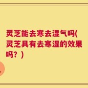 灵芝能去寒去湿气吗(灵芝具有去寒湿的效果吗？)