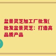 盆景灵芝加工厂批发(批发盆景灵芝：打造高品质产品