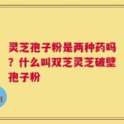 灵芝孢子粉是两种药吗？什么叫双芝灵芝破壁孢子粉