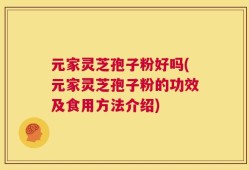 元家灵芝孢子粉好吗(元家灵芝孢子粉的功效及食用方法介绍)