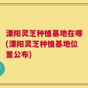 溧阳灵芝种植基地在哪(溧阳灵芝种植基地位置公布)