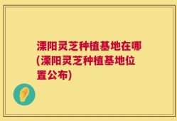 溧阳灵芝种植基地在哪(溧阳灵芝种植基地位置公布)