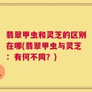 翡翠甲虫和灵芝的区别在哪(翡翠甲虫与灵芝：有何不同？)