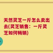 天然灵芝一斤怎么卖出去(灵芝销售：一斤灵芝如何畅销)