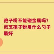孢子粉不能碰金属吗？灵芝孢子粉用什么勺子最好