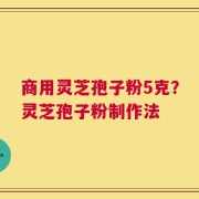 商用灵芝孢子粉5克？灵芝孢子粉制作法