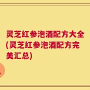 灵芝红参泡酒配方大全(灵芝红参泡酒配方完美汇总)