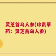 灵芝首乌人参(珍贵草药：灵芝首乌人参)