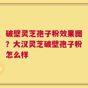 破壁灵芝孢子粉效果图？大汉灵芝破壁孢子粉怎么样